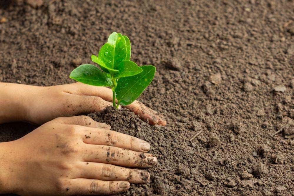 प्रदेश के नगरीय क्षेत्रों में हरित क्षेत्र बढ़ाने के लिये 13 जून को कार्यशाला