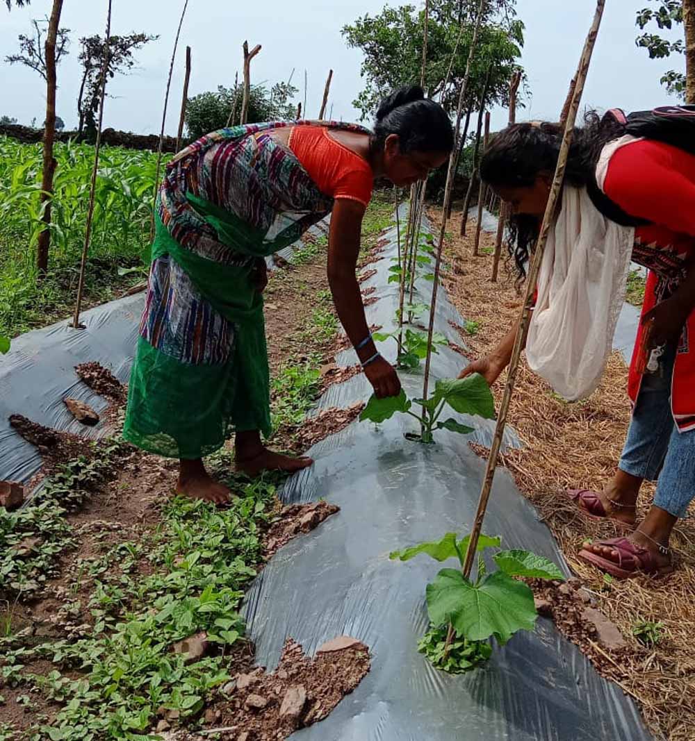 बस्तर में ‘बिहान’ से लखपति दीदी बनने की ओर अग्रसर महिलाएं