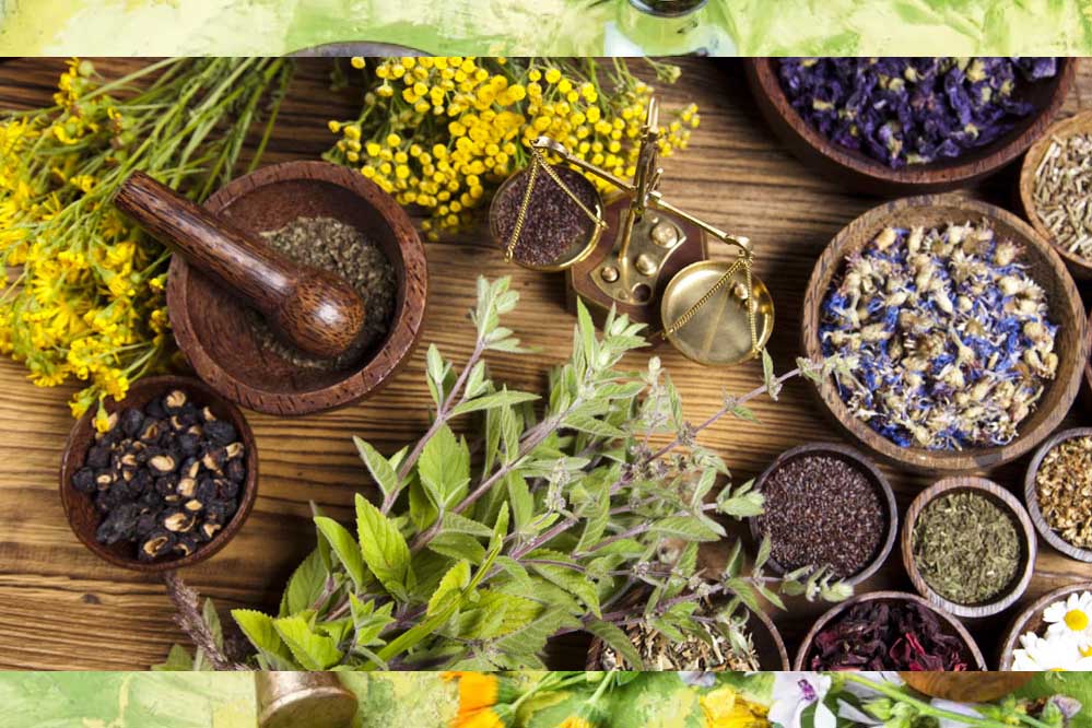 प्रदेश के 18 आयुर्वेद कॉलेजों को मिली मान्यता, 3 हजार सीटें,16 आयुर्वेद कॉलेजों की मान्यता पर निर्णय बाकी