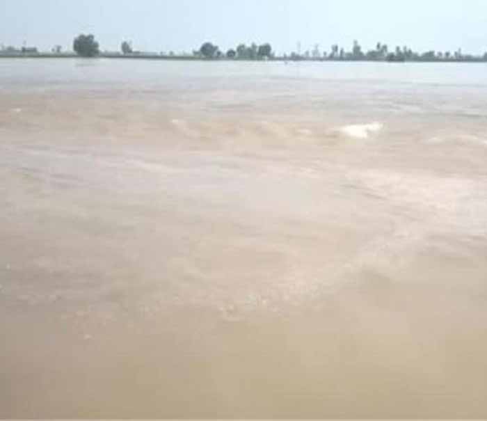 बाढ़ की स्थिति से निपटने के लिए जिला कार्यालय समेत 8 सब-डिवीजनो में कन्ट्रोल रूम किए स्थापित