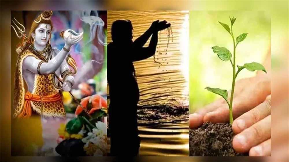 हरियाली अमावस्या पर दुर्लभ संयोग: सर्वार्थ सिद्धि, अमृत और पुष्य योग एक साथ