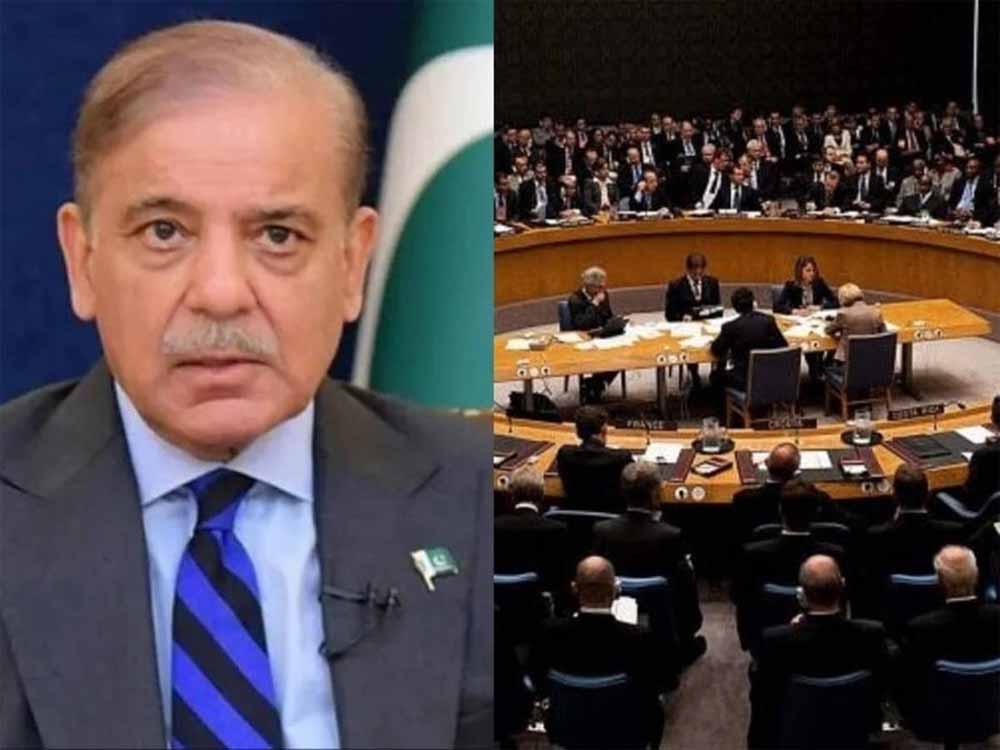 UNSC का अध्यक्ष बना पाकिस्तान! भारत के लिए बढ़ा कूटनीतिक खतरा?