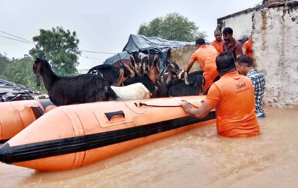 जयपुर में मूसलाधार बारिश, अगले 3 दिन प्रदेश के 37 जिलों में अलर्ट जारी