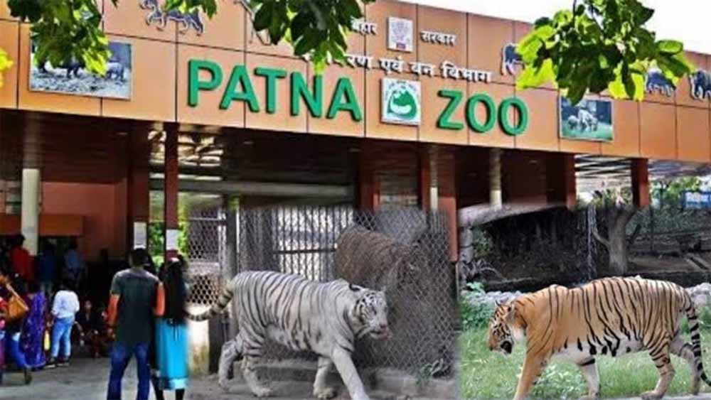 Patna Zoo को बनाएं और भी आकर्षक, विभाग आम नागरिकों से मांग रहा सुझाव