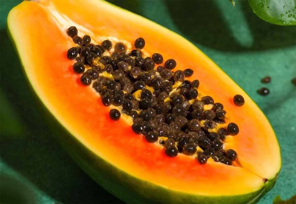 पपीते के बीज: फेंकने से पहले जानें इनके चौंकाने वाले फायदे