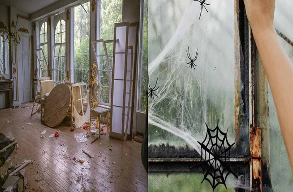 दीवाली से पहले घर से निकाल दें ये अशुभ वस्तुएं, वरना अलक्ष्मी कर सकती हैं प्रवेश!