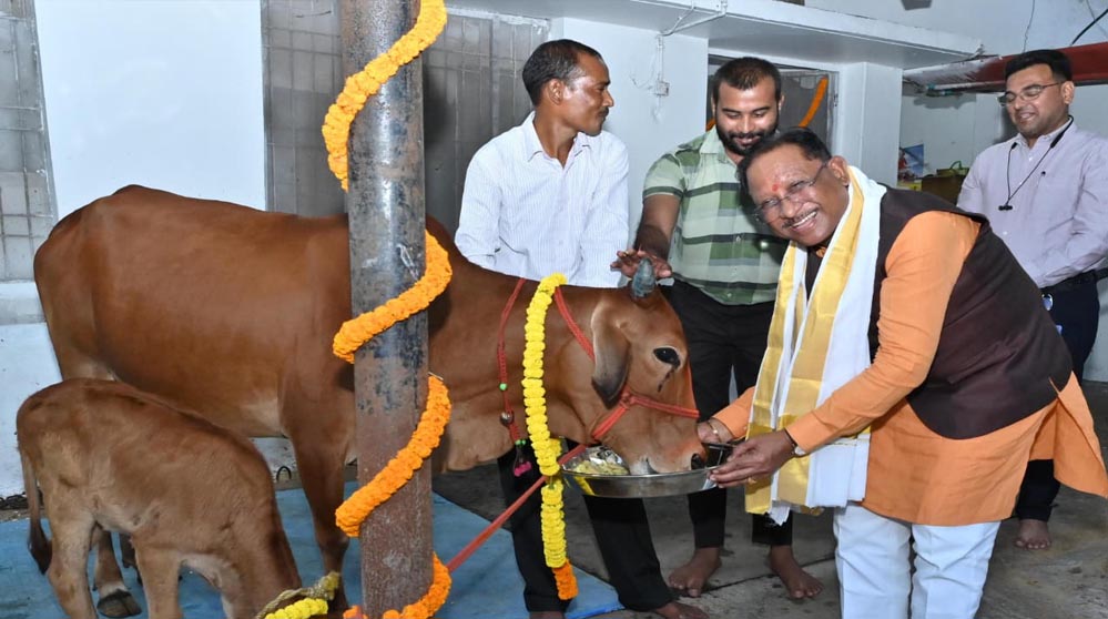 रायपुर : गोवर्धन पूजा के अवसर पर मुख्यमंत्री ने किया गौपूजन, प्रदेशवासियों की सुख-समृद्धि की कामना की