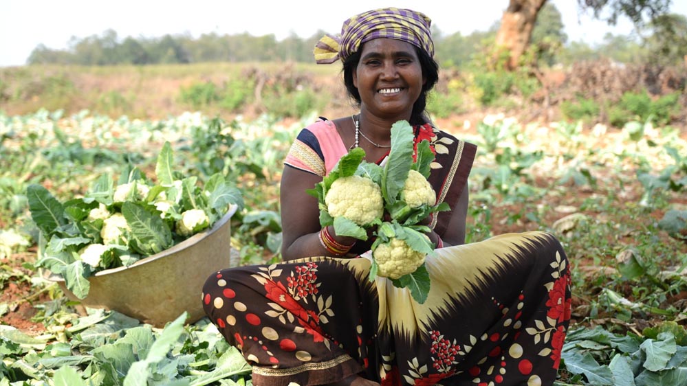 जनजातीय वर्ग के वन-भूमि पट्टेधारी किसानों को सब्जियों के उत्पादन पर मिलेगा विशेष अनुदान