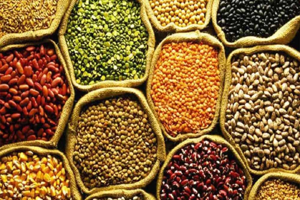 कैबिनेट ने हरी झंडी दिखाई: दालों में आत्मनिर्भरता के लिए 11,440 करोड़ रुपए का बड़ा प्लान मंजूर