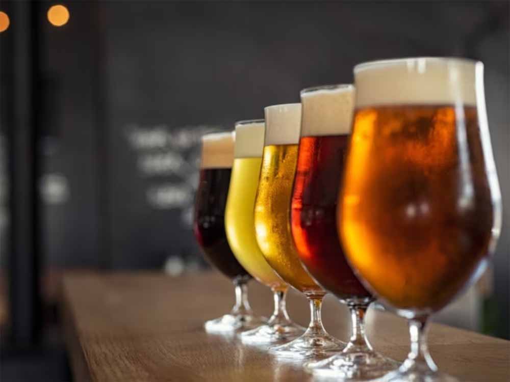 शराब पीना भी खतरनाक! हार्वर्ड के डॉक्टर ने बताया, थोड़ी-थोड़ी आदत भी बढ़ा सकती है कैंसर का रिस्क