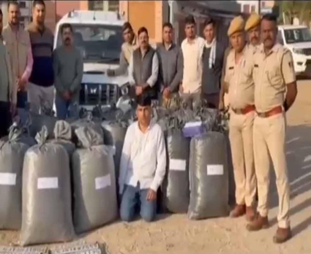 जोधपुर में एएनटीएफ की बड़ी कार्रवाई: 82 लाख का डोडा पोस्त बरामद, तस्कर गिरफ्तार