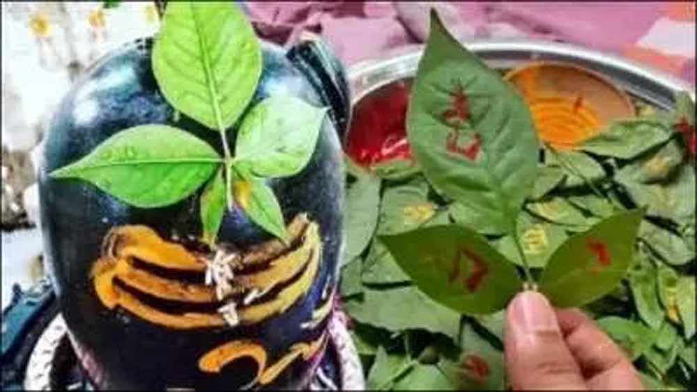शिवलिंग पर ऐसे चढ़ाए बेलपत्र, खत्म होगी धन संबंधी दिक्कत