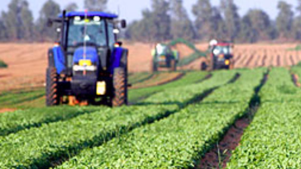 विशेष आर्टिकल- उत्तर प्रदेश में कृषि क्षेत्र का स्वर्णिम उत्थान: योगी सरकार की उपलब्धियां और किसानों की प्रेरक सफलता कहानियां