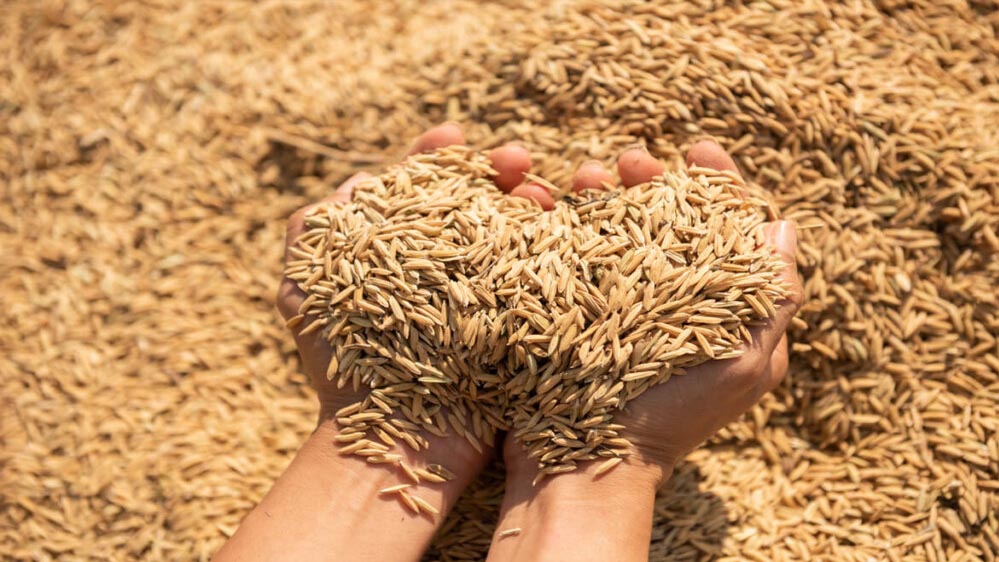 यूपी में धान खरीद को निरंतर मिल रहा किसानों का साथ