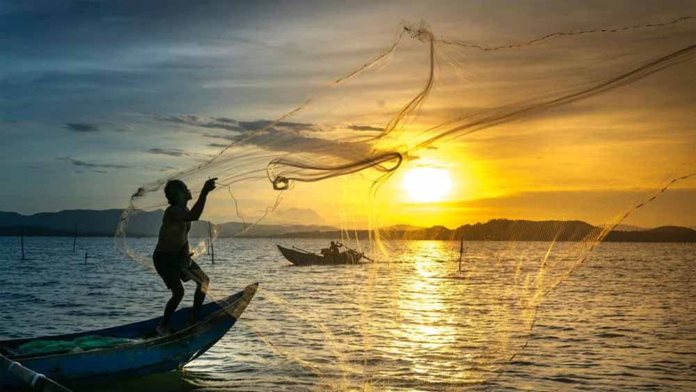 मछुआरों के लिए नई पहचान: अब क्यूआर कोड वाला ‘फिशर आईडी कार्ड’ अनिवार्य