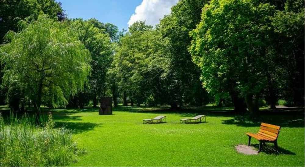 हरियाणा के पार्कों में बड़ा बदलाव! आयोग ने दिए हरे-भरे और सुंदर बनाने के निर्देश