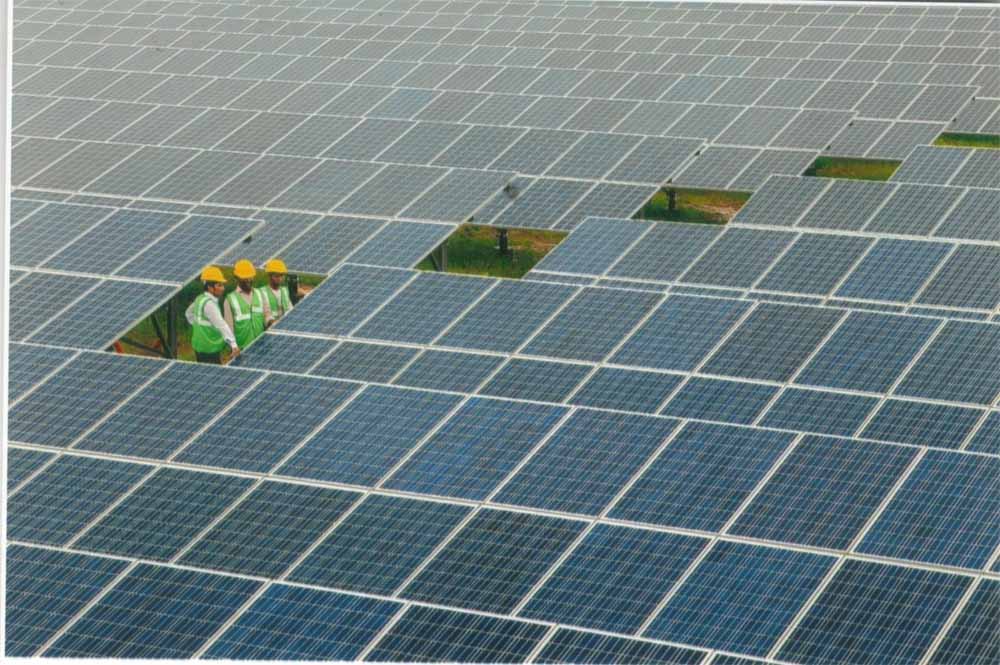 नीमच बना सौर ऊर्जा उत्पादन में प्रदेश का अग्रणी जिला