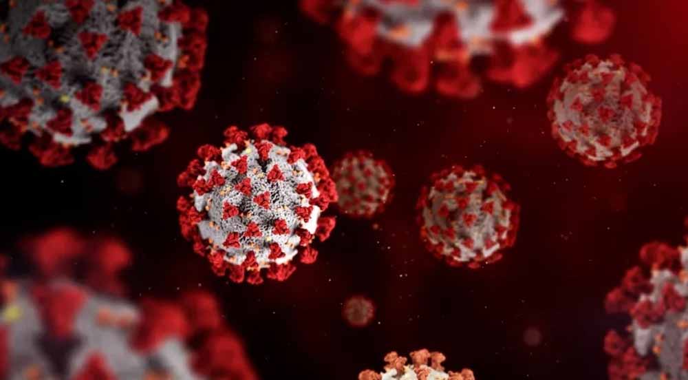 न्यू ईयर से पहले महामारी की आहट! इस बीमारी ने बढ़ाई लोगों की चिंता