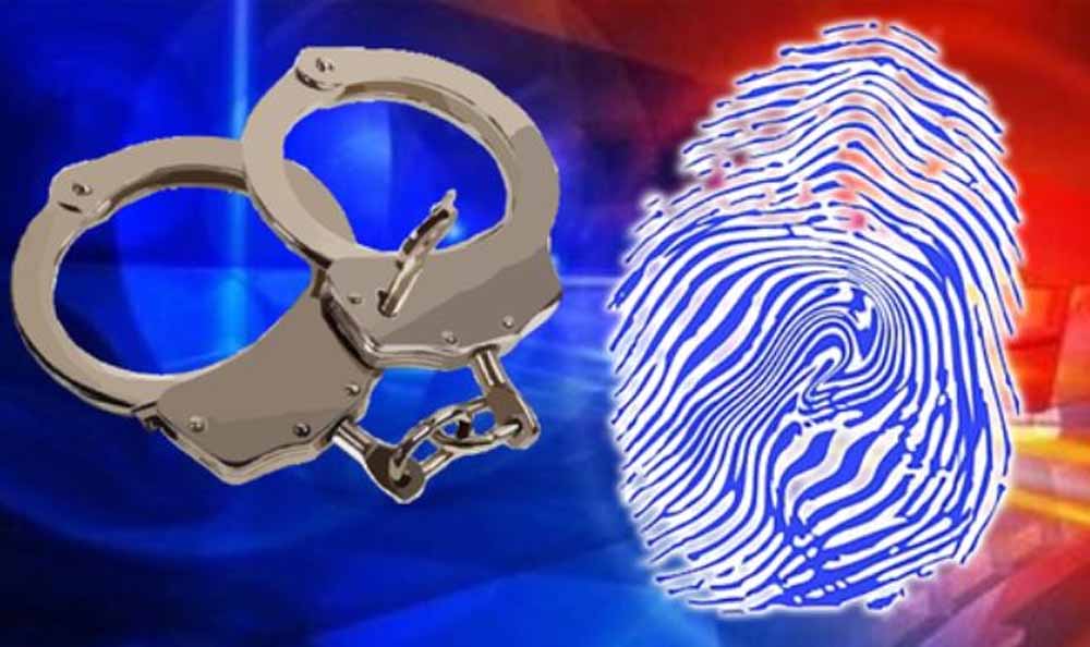 नोएडा पुलिस की बड़ी कार्रवाई: मोबाइल चोरी–स्नैचिंग गिरोह का पर्दाफाश, ₹2 करोड़ का इलेक्ट्रॉनिक सामान बरामद