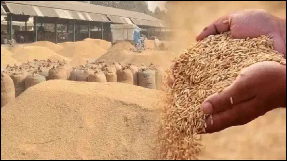 हर किसान का धान खरीदा जाए—सीएम योगी का सख्त निर्देश, अफसरों को दिया जीरो-टॉलरेंस का संदेश