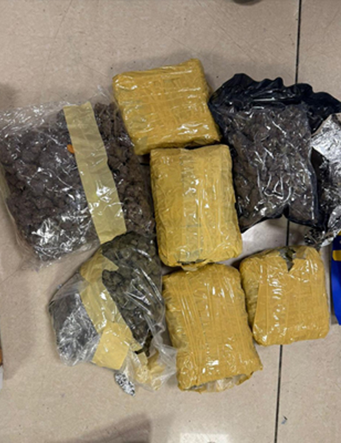 मुंबई एयरपोर्ट पर कस्टम्स का बड़ा ऑपरेशन, 33.42 किलो हाइड्रोपोनिक वीड जब्त