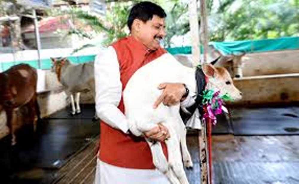 पशुपालकों की समृद्धि की ओर बढ़ रहा मध्यप्रदेश: मुख्यमंत्री डॉ. यादव