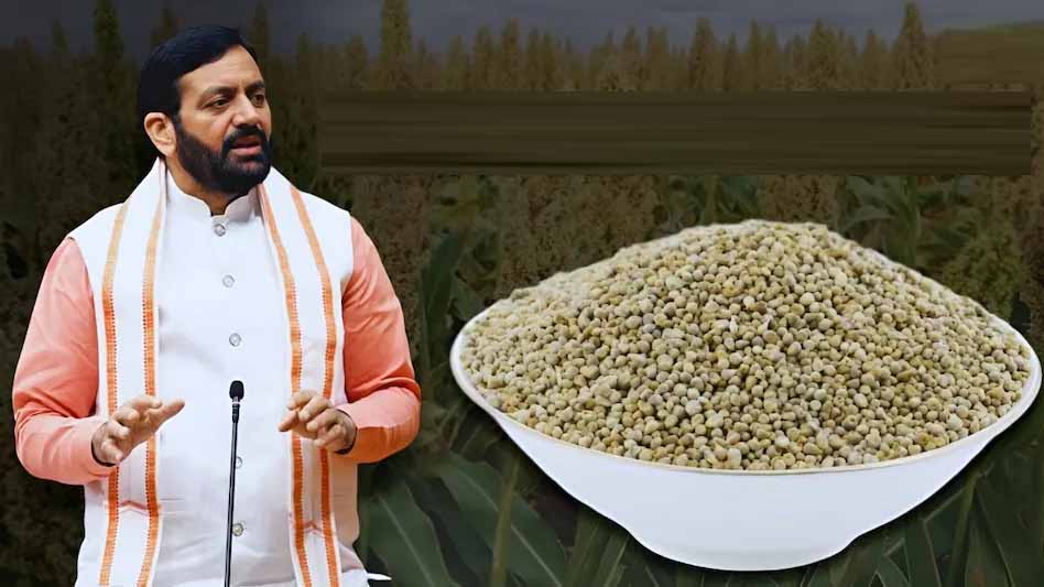 हरियाणा के बाजरा किसानों को बड़ी सौगात, सरकार ने जारी किए ₹380 करोड़