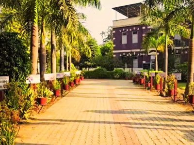 गुजरात का NRI गांव: 10 हजार की आबादी, अरबों का टर्नओवर, फिर भी नहीं एक भी पुलिस थाना