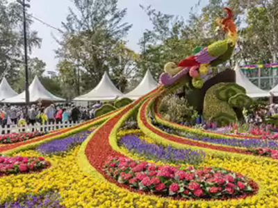 वाइब्रेंट की थीम पर होगा राज्य स्तरीय पुष्प महोत्सव, प्रदेश में उत्पादित फूलों की विभिन्न किस्मों का होगा प्रदर्शन