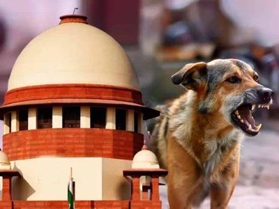 2 महीने में 1.6 लाख कुत्तों की नसबंदी? झारखंड के आंकड़ों पर सुप्रीम कोर्ट सख्त