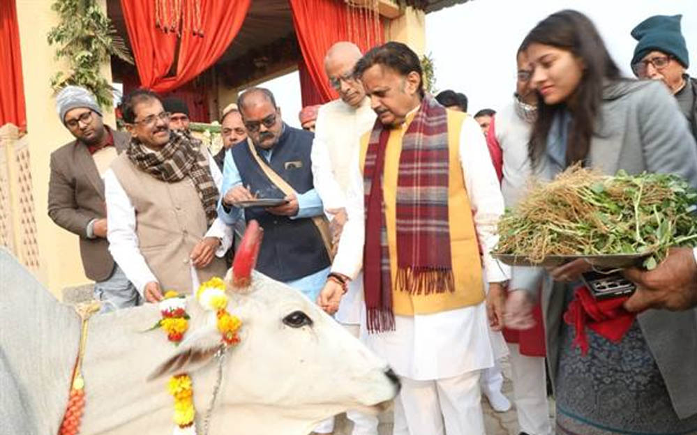 उप मुख्यमंत्री शुक्ल ने नववर्ष पर गौपूजन कर शुरू किया गोलोक दर्शन महोत्सव