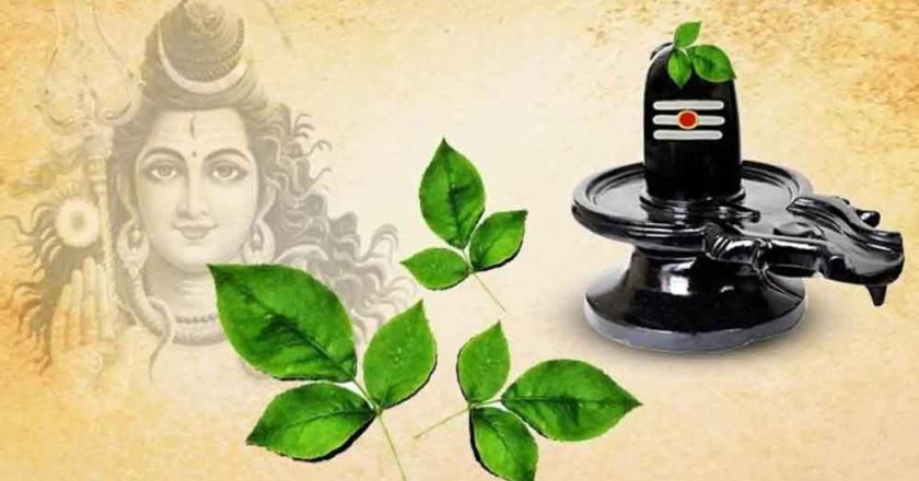 भगवान शिव को बेलपत्र क्यों है सबसे प्रिय? जानिए पौराणिक कथा और रहस्य