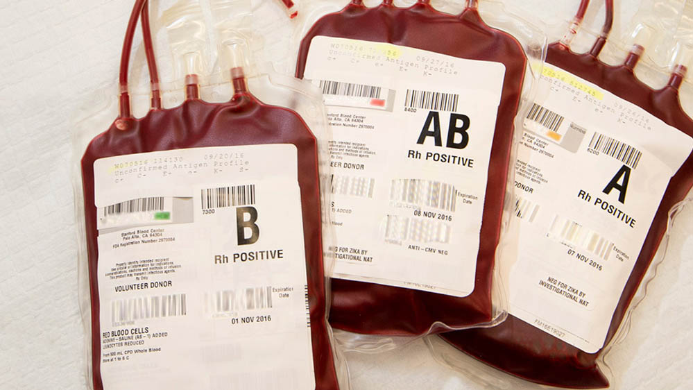 इंसानी ब्लड बैग में मिला हजार लीटर बकरी का खून, रेड में हुआ बड़ा खुलासा; हड़कंप मचा