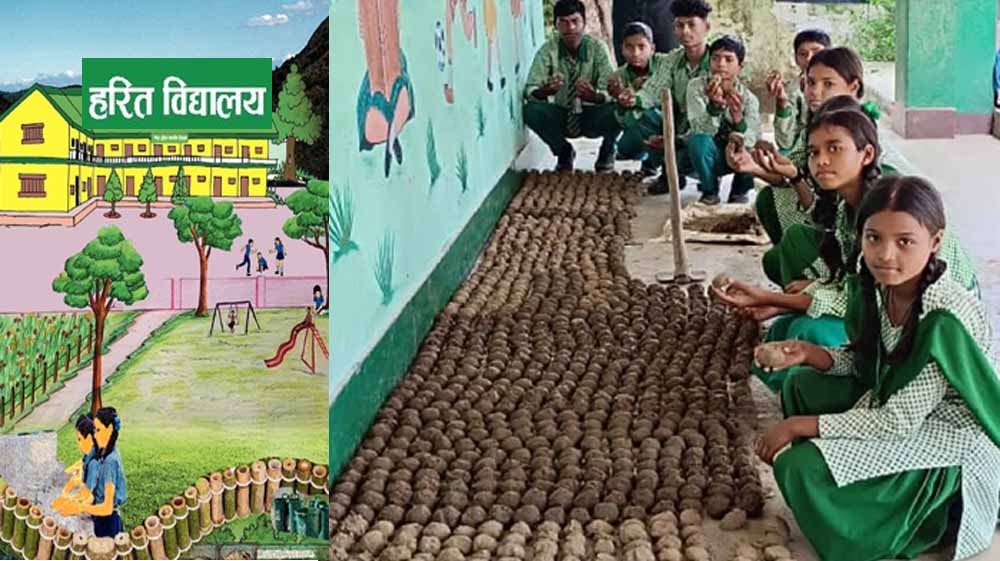 रांची के स्कूल में बच्चों ने बनाए 10000 सीड बॉल, हरित विद्यालय की ओर बढ़ा कदम