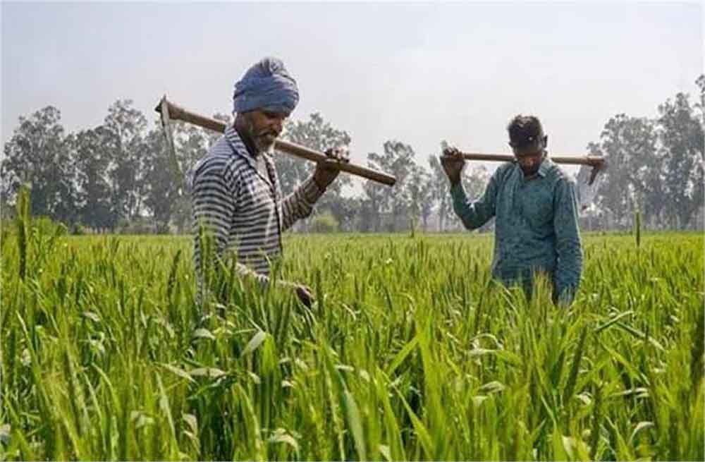 PM-KISAN पर बड़ा ऐलान संभव! बजट 2026 में बढ़ सकती है किसान सम्मान निधि, जानें कितनी होगी नई किश्त