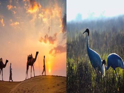 रेगिस्तान से महलों तक: राजस्थान की 10 सबसे खूबसूरत जगहें, जहां हर सफर बनता है यादगार