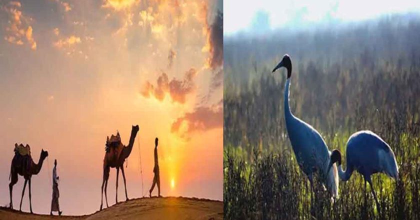 रेगिस्तान से महलों तक: राजस्थान की 10 सबसे खूबसूरत जगहें, जहां हर सफर बनता है यादगार