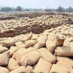 धान उठाव में सुस्ती पर सरकार का कड़ा रुख, मार्कफेड DMO किशोर चंद्रा हटाए गए