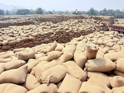 धान उठाव में सुस्ती पर सरकार का कड़ा रुख, मार्कफेड DMO किशोर चंद्रा हटाए गए