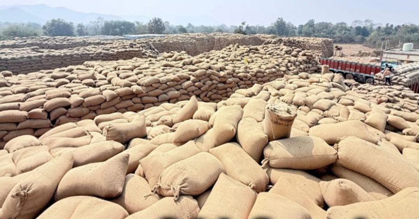 धान उठाव में सुस्ती पर सरकार का कड़ा रुख, मार्कफेड DMO किशोर चंद्रा हटाए गए