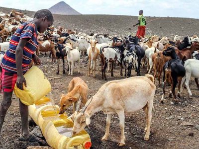 केन्या में सूखा: 20 लाख लोग भुखमरी की कगार पर, मौत का साया