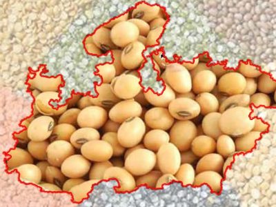 मध्यप्रदेश कृषि उत्पादन में देश के शीर्ष राज्यों में, खाद्यान्न, दलहन और तिलहन में अग्रणी