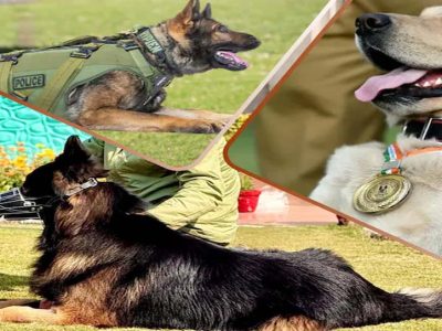 CRPF की K9 यूनिट बनी आतंकियों का खौफ, टॉयसन जैसे सैकड़ों डॉग कमांडो तैयार