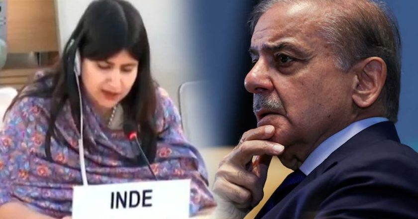 भारत ने UN में खुली पाकिस्तान की पोल, कहा– हमारा कश्मीर बजट IMF कर्ज से भी दोगुना