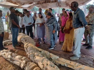 बीजापुरी नंबर-1 में काष्ठ शिल्पियों के कार्यों का शहडोल संभाग की कमिश्नर ने लिया जायजा