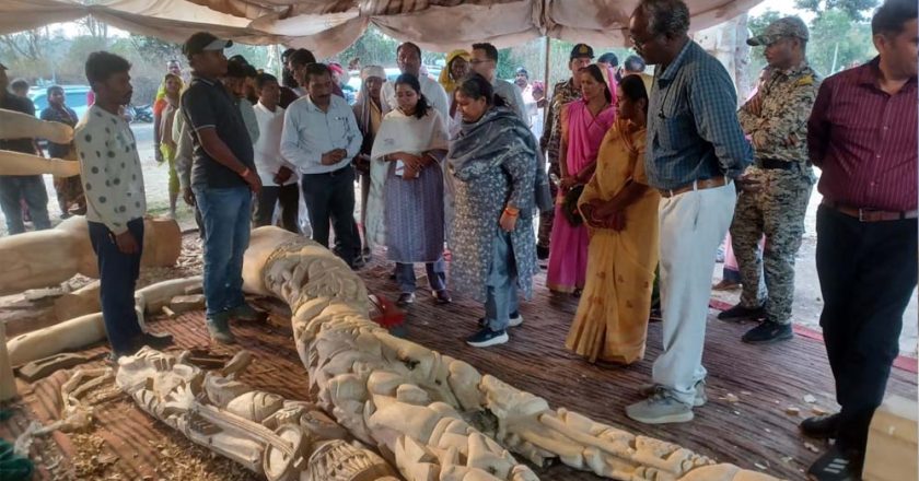 बीजापुरी नंबर-1 में काष्ठ शिल्पियों के कार्यों का शहडोल संभाग की कमिश्नर ने लिया जायजा
