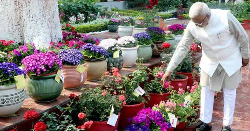 मेहनत और निष्ठा का प्रतिफल, पुरस्कार : राज्यपाल  पटेल