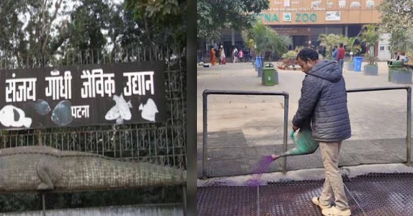 पटना जू में बर्ड फ्लू रोकने 24 घंटे निगरानी, फुट वॉश और किया जा रहा  सैनिटेशन