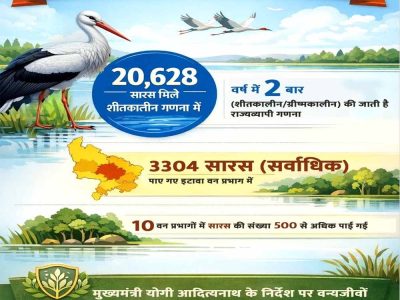 इटावा वन प्रभाग में पाए गए सर्वाधिक 3304 सारस, 10 वन प्रभागों में यह संख्या 500 से अधिक पाई गई
