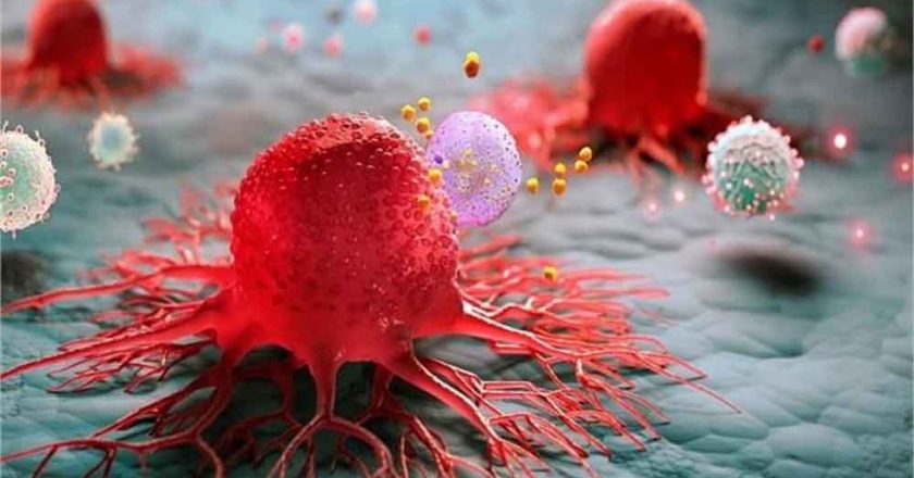 शरीर में चुपके से घर कर रहा है कैंसर! आज नहीं बदलीं ये 4 आदतें तो बढ़ सकता है खतरा